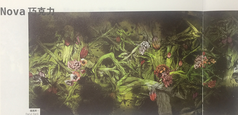 天然、綠色的休閑食品巧克力包裝設計