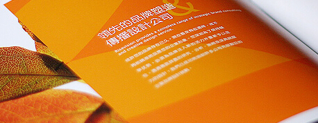 企業VI設計
