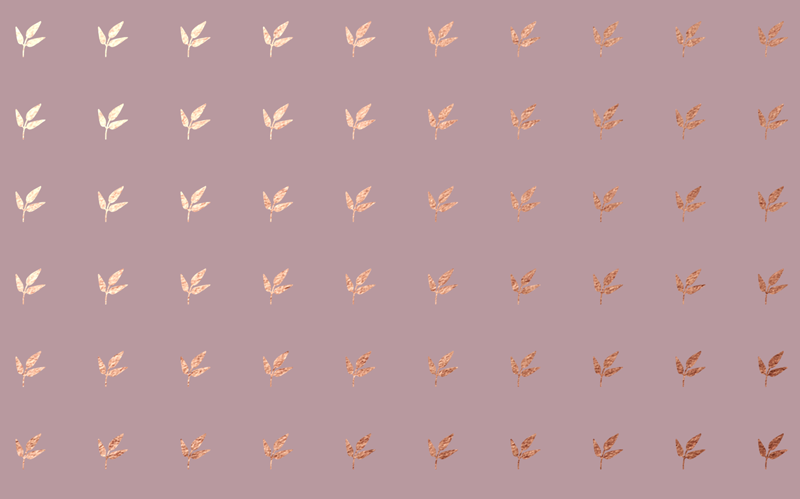 為了博得美人一笑，甜品包裝也是拼了……