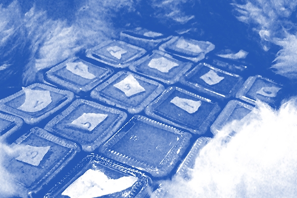 最為刺激的餐飲用品佐料，芥末醬產品包裝設計