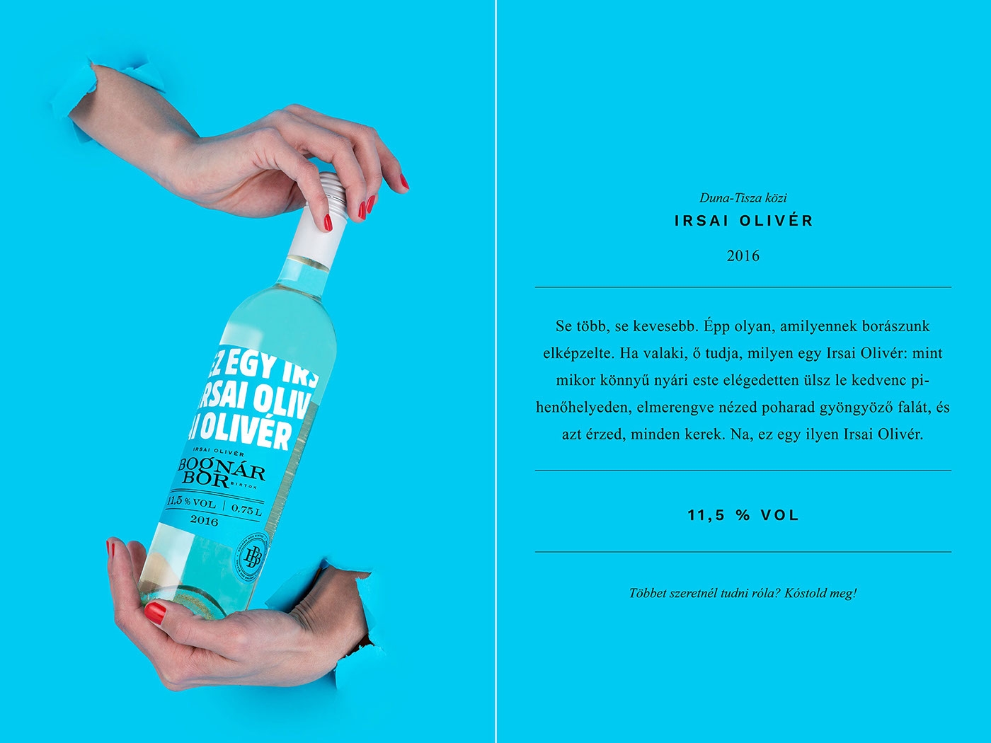 Bognar家族的年輕葡萄酒包裝設計，我們只需要更年輕