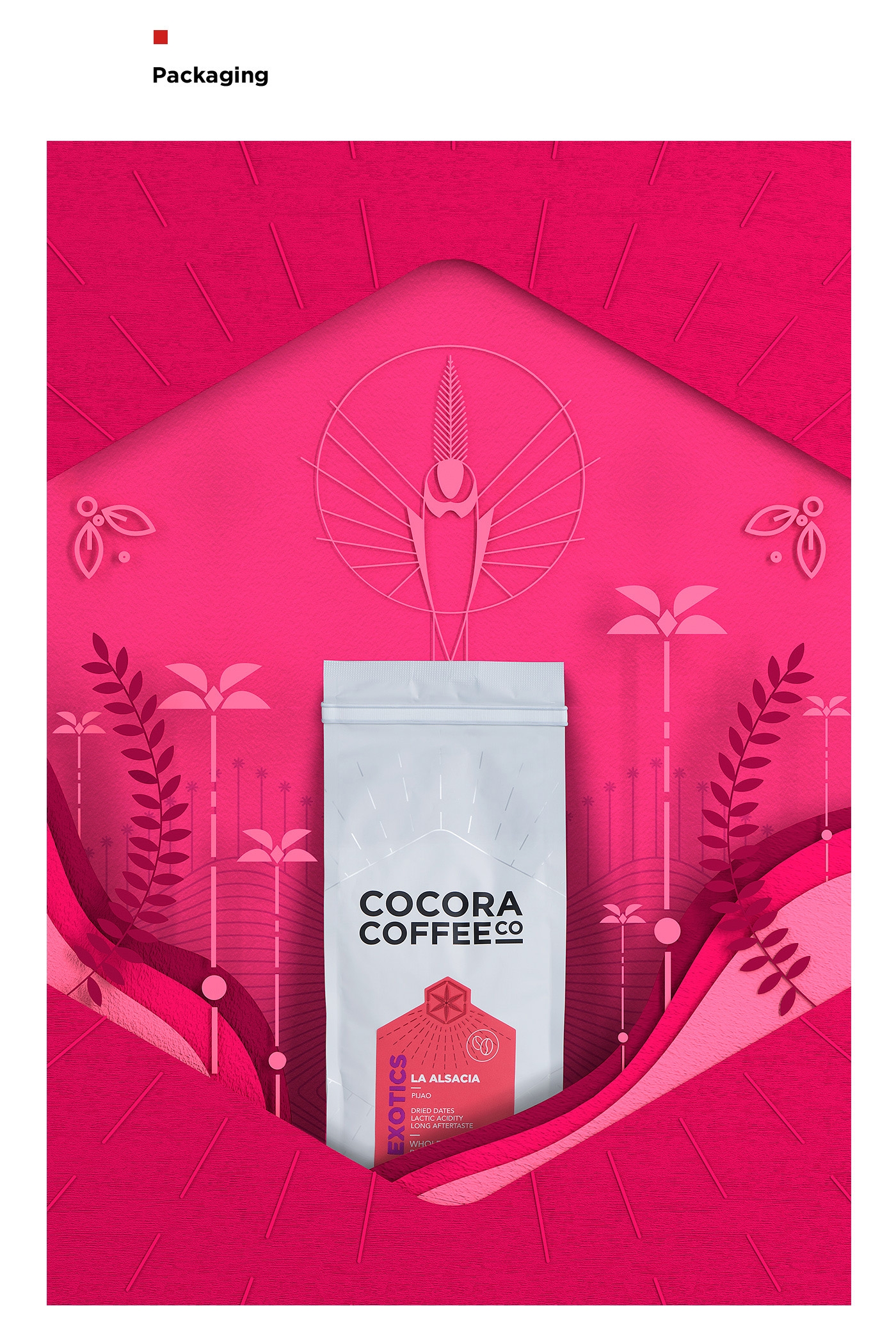 為一個咖啡杯，一個街角咖啡店，做整體的品牌包裝設計