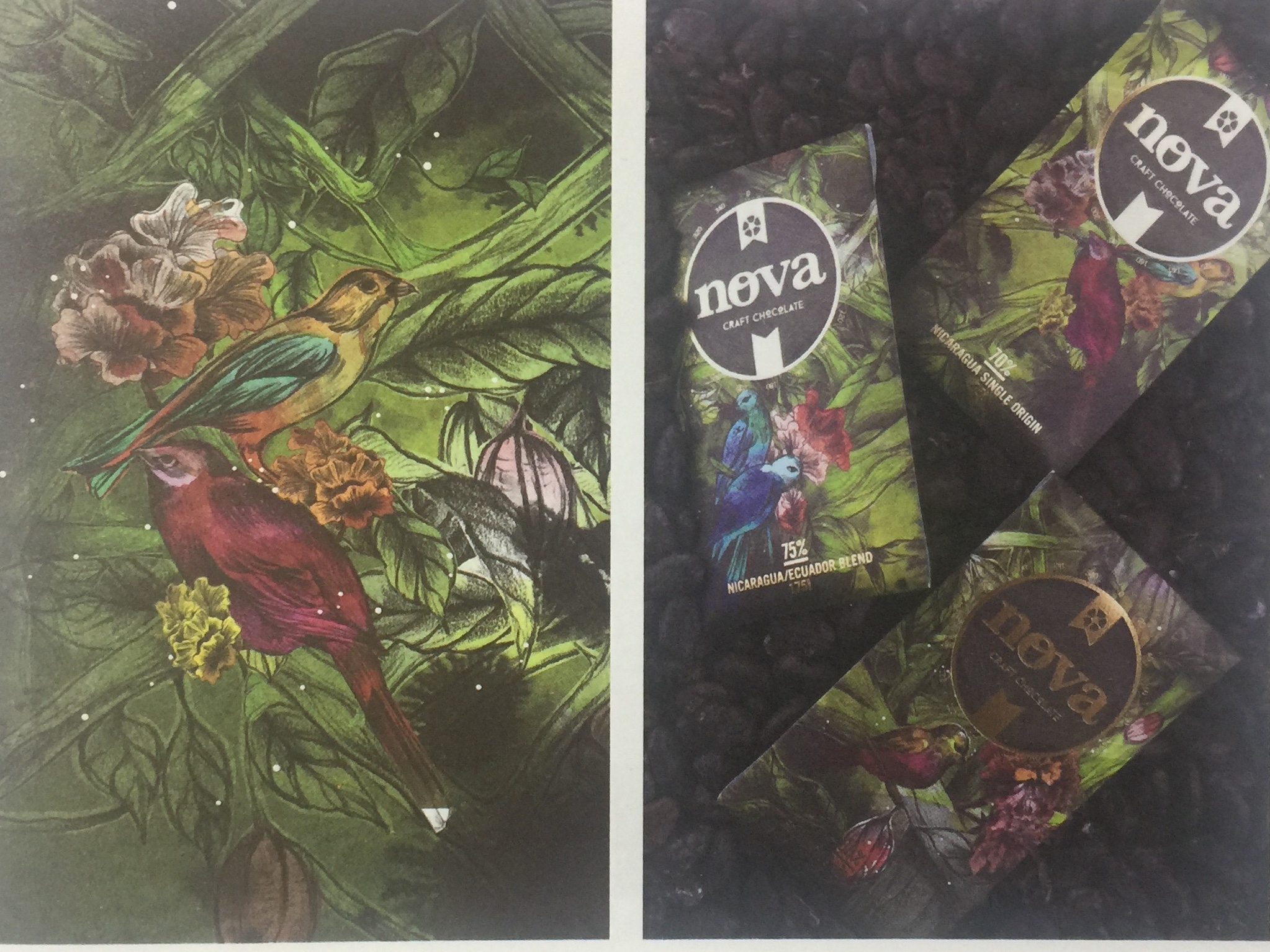 天然、綠色的休閑食品巧克力包裝設計