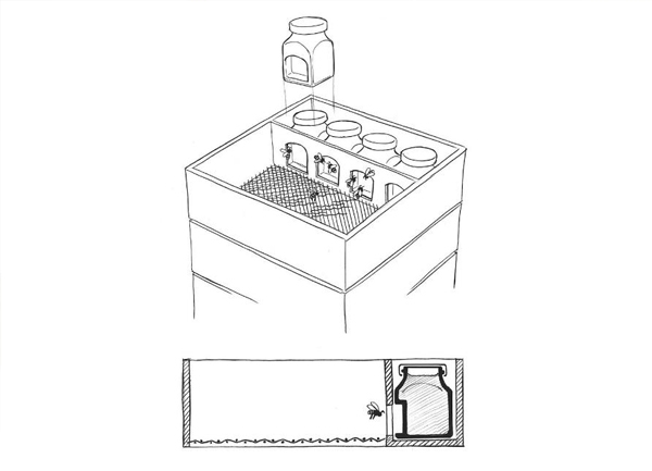 見過喝蜂蜜的，見過舉著蜂巢喝蜂蜜的嗎？｜奇特蜂蜜包裝設計