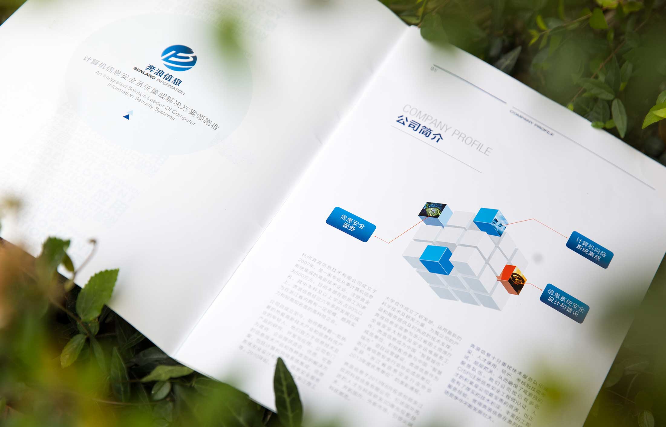 奔浪信息技術宣傳冊